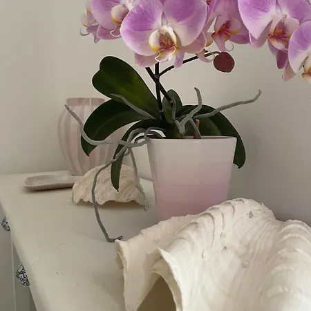 Rosa Dei Venti Polignano a Mare