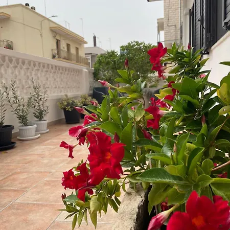 Rosa Dei Venti Holiday home