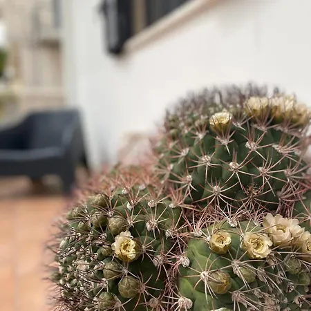 Hébergement de vacances Rosa Dei Venti Polignano a Mare